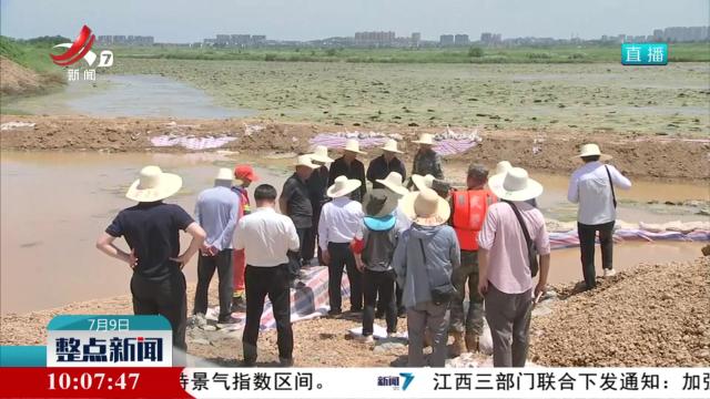 坚守防汛一线 守护堤坝安全