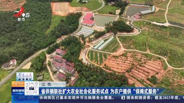 江西：省供销联社扩大农业社会化服务试点 为农户提供“保姆式服务”