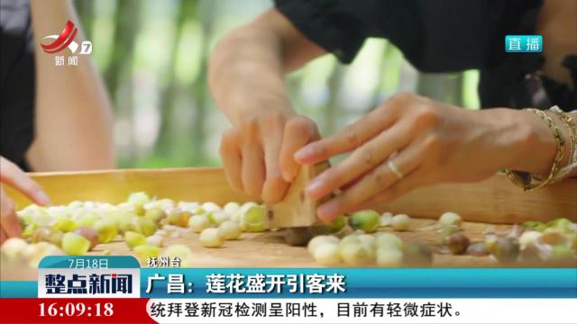 广昌：莲花盛开引客来