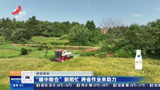 吉安吉水：“赣中粮仓”割稻忙 跨省作业来助力