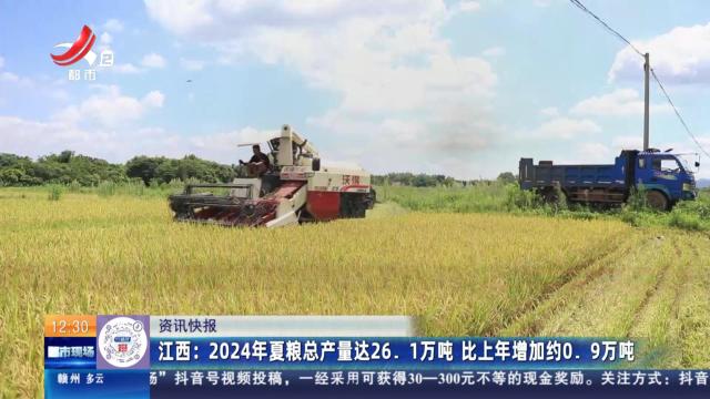 江西：2024年夏粮总产量达26.1万吨 比上年增加约0.9万吨