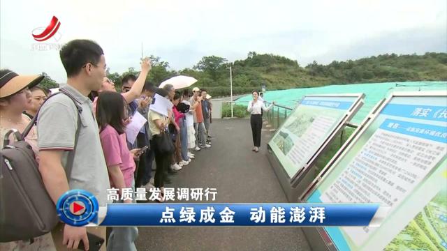 社会传真20240708 【高质量发展调研行】点绿成金 动能澎湃