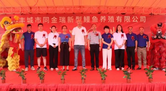 丰城市泉港镇政协：引进鳗鱼养殖项目 奏响乡村振兴乐章