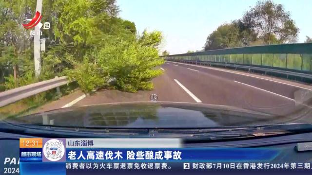 山东淄博：老人高速伐木 险些酿成事故