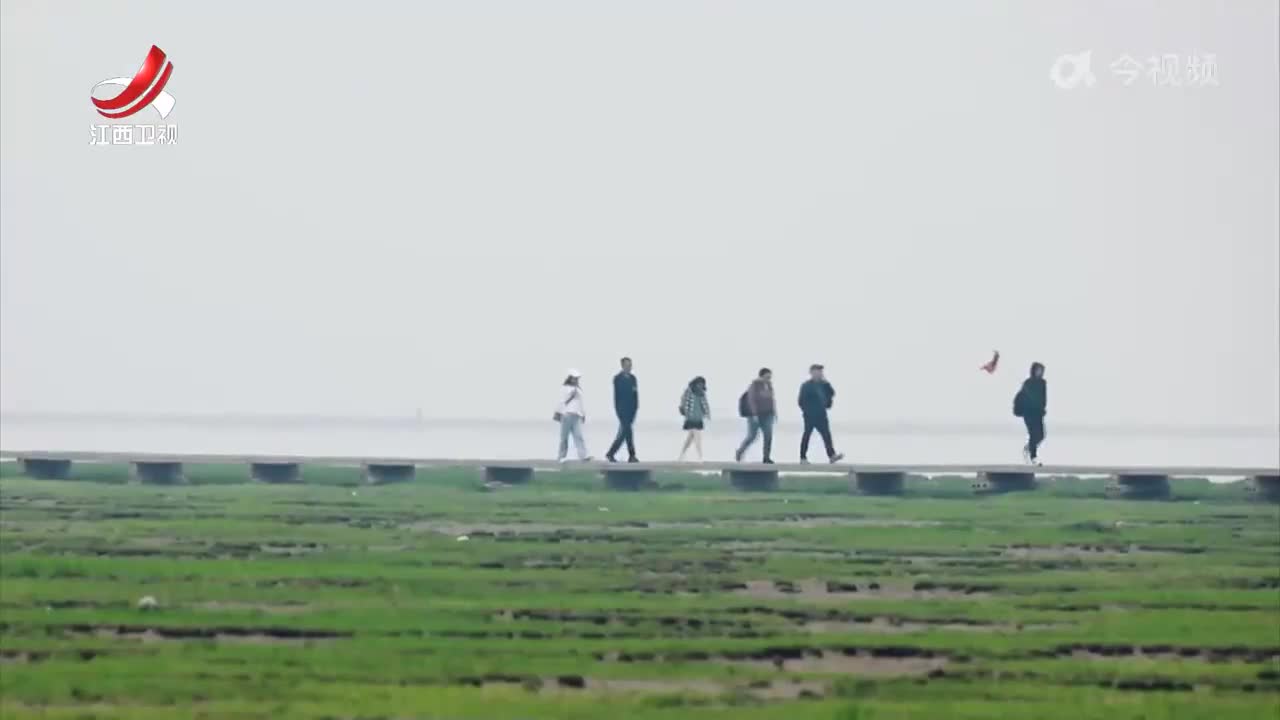 江西启动智慧林业建设