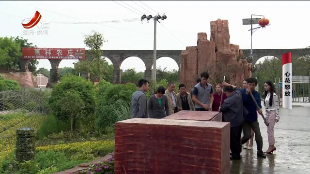 乡村栏目剧场20240718 心花怒放