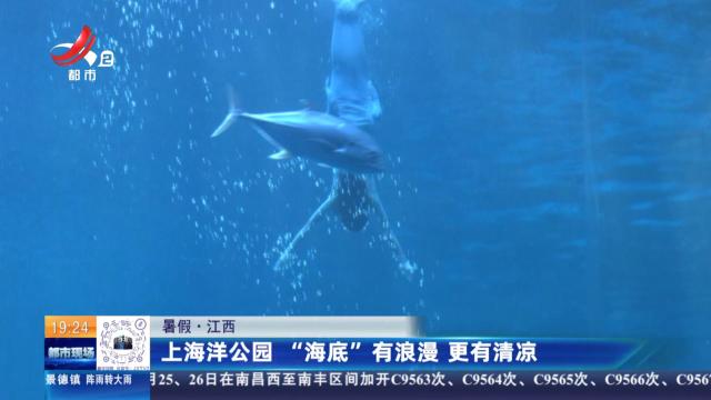 【暑假】江西：上海洋公园“海地”有浪漫 更有清凉