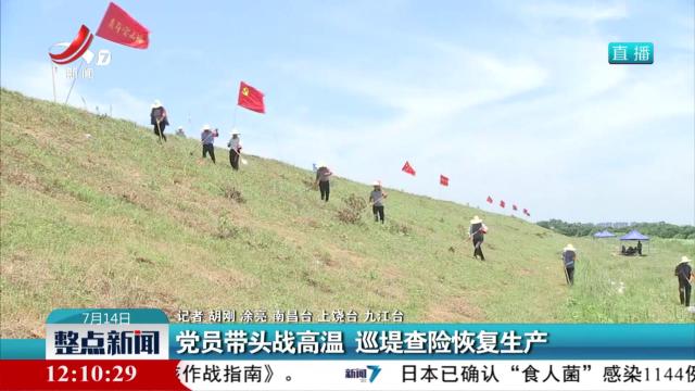 党员带头战高温 巡堤查险恢复生产