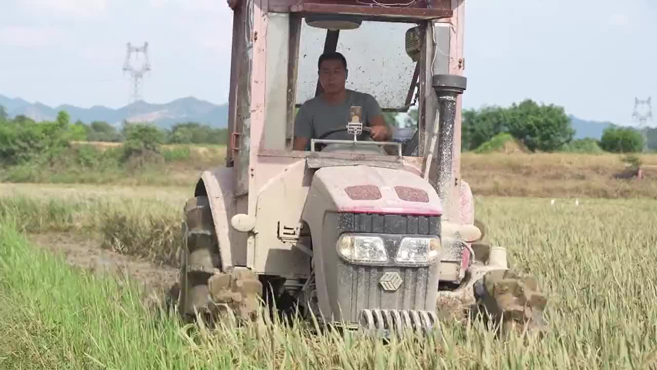 高温下的劳动者|江西乐平：战酷暑 抢农时 干群灾后忙补种