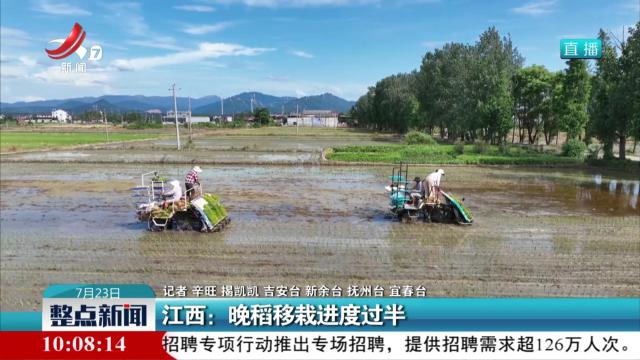 江西：晚稻移栽进度过半