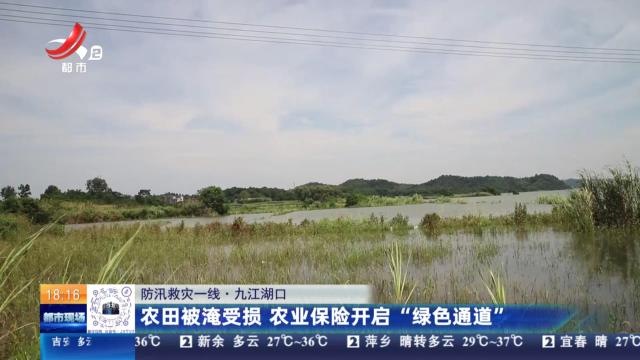 都市现场20240711