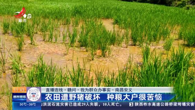 都市现场·午间版20240722