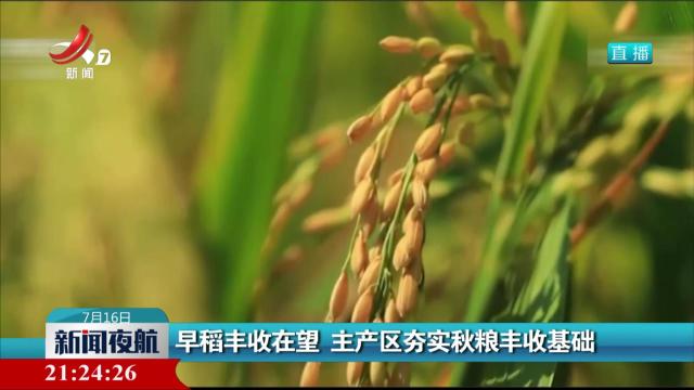 早稻丰收在望 主产区夯实秋粮丰收基础