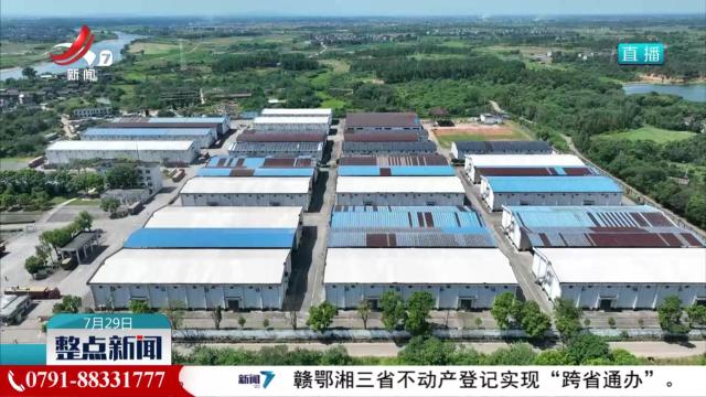 我省已收购新季早稻30.9亿斤