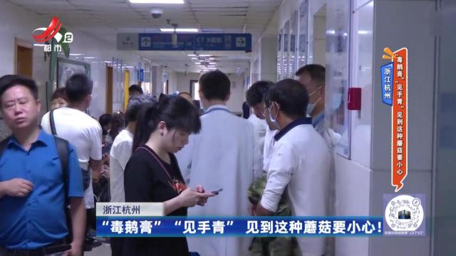 浙江杭州——“毒鹅膏”“见手青”见到这种蘑菇要小心