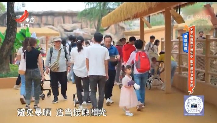 地宝当家20240729