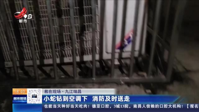 【救在现场】九江瑞昌：小蛇钻到空调下 消防及时送走