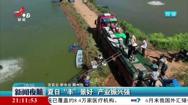 夏日“丰”景好 产业振兴强