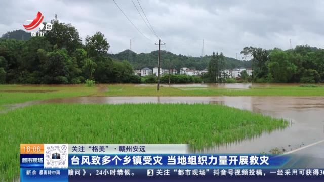 【关注“格美”】赣州安远：台风致多个乡镇受灾 当地组织力量开展救灾