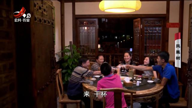 乡村栏目剧场20240729 凤凰树