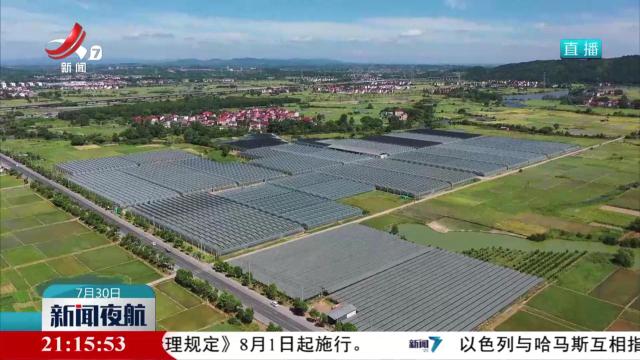 新闻夜航20240730