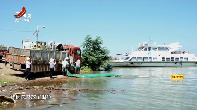 【江西省鄱阳湖银鱼产卵场省级保护区】昌景黄高铁生态补偿放流68万尾鱼苗