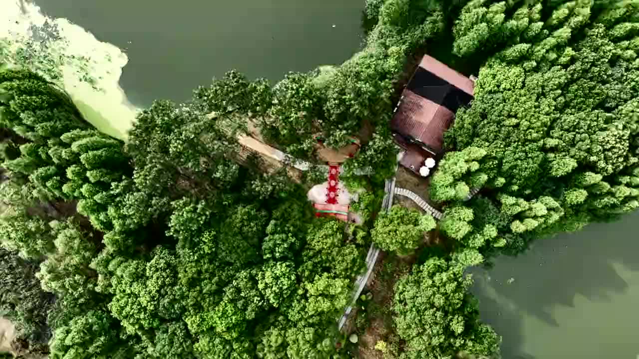 南昌高新区“相约高新·美满美婚”集体婚礼在艾溪湖湿地公园美婚馆举行