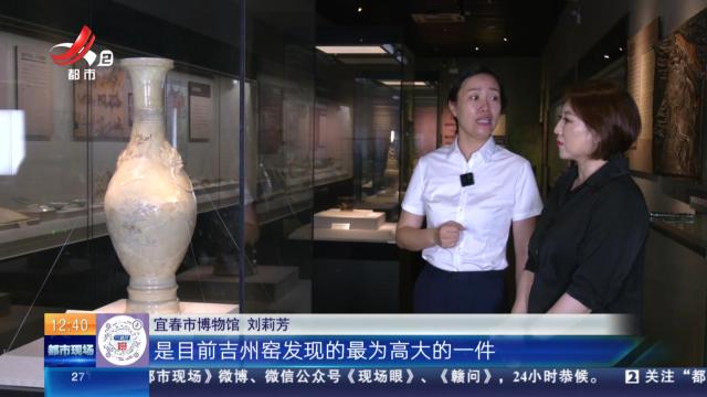 【家有收藏·跟着文物看古今】宜春市博物馆：元代米黄釉剔花铺首长颈瓶