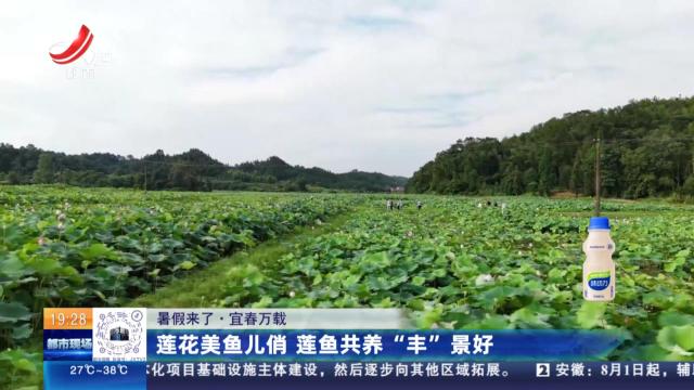 都市现场20240716