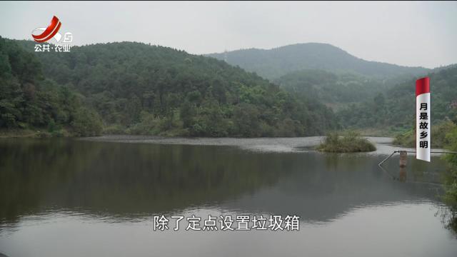 乡村栏目剧场20240717 月是故乡明