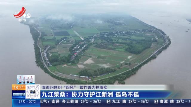 【直面问题纠“四风” 敢作善为抓落实】九江柴桑：协力守护江新洲 孤岛不孤