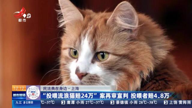 【民法典在身边】上海：“投喂流浪猫赔24万”案再审宣判 投喂者赔4.8万