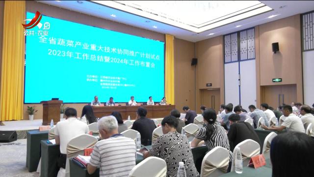 三农头条20240706