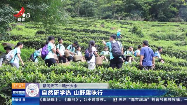 【赣闻天下】赣州大余：自然研学热 山野趣味行