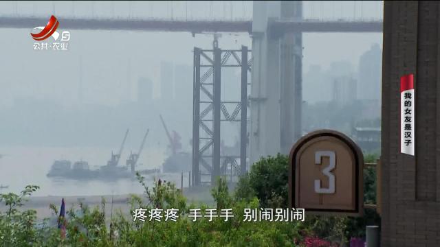 乡村栏目剧场20240705 我的女友是汉子