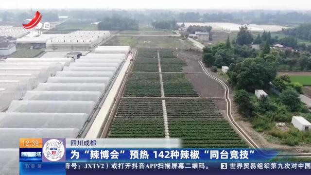 四川成都：为“辣博会”预热 142种辣椒“同台竞技”