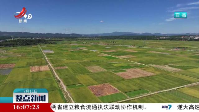 我省多部门发布早稻高温热害风险预警