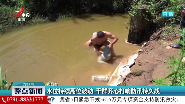 水位持续高位波动 干群齐心打响防汛持久战
