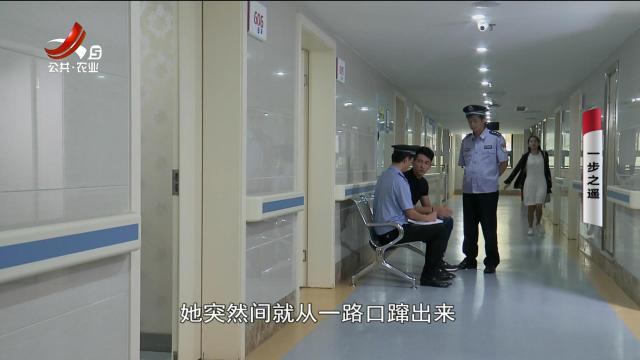 乡村栏目剧场20240730 一步之遥