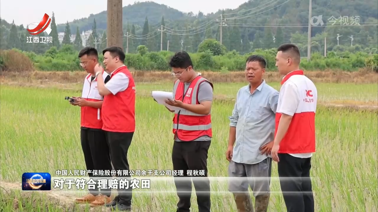 农业保险理赔为农户撑起“保护伞”
