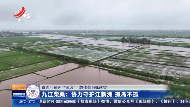 【直面问题纠“四风” 敢作善为抓落实】九江柴桑：协力守护江新洲 孤岛不孤