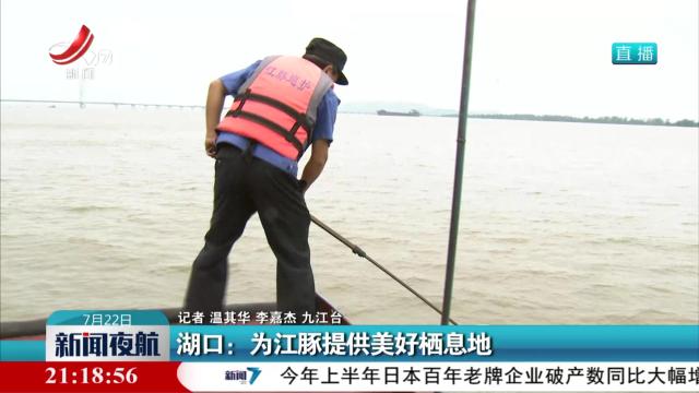 湖口：为江豚提供美好栖息地