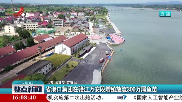 省港口集团在赣江万安段增殖放流300万尾鱼苗