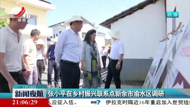 张小平在乡村振兴联系点新余市渝水区调研