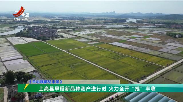 三农头条20240716