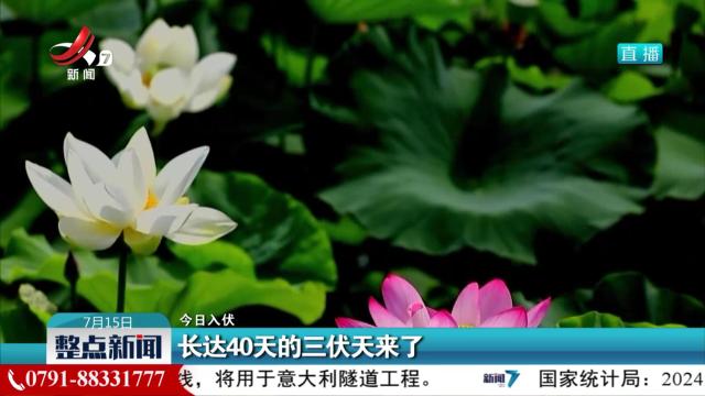 【今日入伏】长达40天的三伏天来了