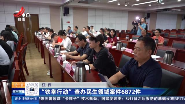 江西：“铁拳行动”查办民生领域案件6872件