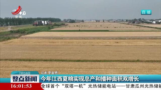 今年江西夏粮实现总产和播种面积双增长
