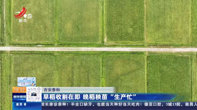 都市现场20240703