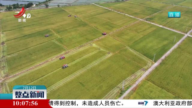 减损降耗 助力早稻产量增加